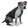 ToothHoney Tooth Honey Pullover for Large Dogs Breathable Cotton Spandex with Underbelly Coverage Dark Light Grey Allergy Summer Protection XXLarge
