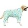 PriPre Dog Cotton Pajamas with Dinosaur Pattern Rainbow Unicorn Onesie Jumpsuit for Large Dogs Full Coverage Sleeper Pets Shirts pjs3XLBlue Dinosaur
