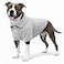 lovelonglong Basic Dog Polo Shirts Premium Cotton Polo TShirts for Large Medium Small Dogs with a TwoButton Collar Blank Color Gray XXL