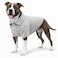 lovelonglong Basic Dog Polo Shirts Premium Cotton Polo TShirts for Large Medium Small Dogs with a TwoButton Collar Blank Color Gray XXL