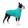 Lovelonglong Dog Pullover Sweatshirt Autumn Winter Cold Weather Dog TShirts for Small Medium Large Size Dogs Boston Terrier Clothes Turquoise XL