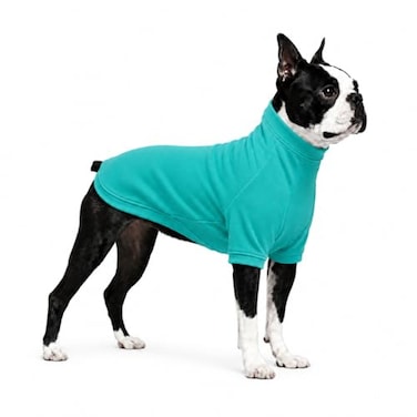 Lovelonglong Dog Pullover Sweatshirt Autumn Winter Cold Weather Dog TShirts for Small Medium Large Size Dogs Boston Terrier Clothes Turquoise XL