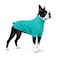 Lovelonglong Dog Pullover Sweatshirt Autumn Winter Cold Weather Dog TShirts for Small Medium Large Size Dogs Boston Terrier Clothes Turquoise XL