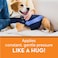 ThunderShirt for Dogs XX Large Blue Polo Dog Anxiety Relief Calming Vest