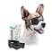 PETLESO Dog Goggles Small Breed UV Protection Dog Sunglasses for Medium Dog Outdoor Riding Driving Medium Black