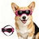 PETLESO Dog Goggles Medium Breed Small Dog Sunglasses AntiUV Goggles for Pet Eyes Protection Adjustable Straps Pink M