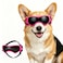 PETLESO Dog Goggles Medium Breed Small Dog Sunglasses AntiUV Goggles for Pet Eyes Protection Adjustable Straps Pink M