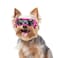 PETLESO Small Breed Dog Goggles Pink Sunglasses with UV Protection and Adjustable Straps