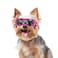 PETLESO Small Breed Dog Goggles Pink Sunglasses with UV Protection and Adjustable Straps