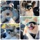Billionchains Dog Goggles for Small Dog Doggy Goggles with Adjustable Straps AntiUV Doggie Sunglasses Windproof Eye Protection to Small Breed Blue