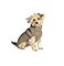Chilly Dog Cable Dog Sweater XXSmall Grey
