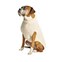 Chilly Dog Tural Cable Dog Sweater Large