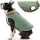 Gooby Sports Vest Dog Jacket Green Medium Reflective Dog Vest with D Ring Leash Warm Fleece Lined Hook and Loop Closure for Small to Medium Dogs