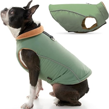 Gooby Sports Vest Dog Jacket Green Medium Reflective Dog Vest with D Ring Leash Warm Fleece Lined Hook and Loop Closure for Small to Medium Dogs