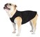 Gold Paw Goldpaw Stretch Fleece Dog Sweater with Spandex for 4Way Stretch Soft Comfortable Dog Coat Machine Washable Made in the USA Black Size 10