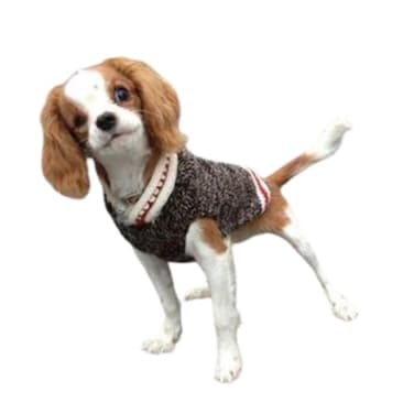 Chilly Dog Boyfriend Dog Sweater Small