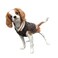 Chilly Dog Boyfriend Dog Sweater Small