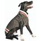 Chilly Dog Boyfriend Dog Sweater Large