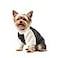 LESYPET Dog Sweater for Small to Medium Dogs Fleece Lining Puppy Sweatshirt in Winter Warm Puppy Clothes Pullover Jumper Grey S