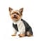 LESYPET Dog Sweater for Small to Medium Dogs Fleece Lining Puppy Sweatshirt in Winter Warm Puppy Clothes Pullover Jumper Grey S