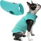 Gooby Fleece Vest Dog Sweater Turquoise Large Warm Pullover Fleece Dog Jacket with ORing Leash for Small to Medium Dogs