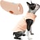 Gooby Fleece Vest Dog Sweater Peach Large Warm Pullover Fleece Dog Jacket with ORing Leash for Small to Medium Dogs