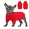Queenmore Small Dog Pullover Sweater Cold Weather Cable Knitwear Classic Turtleneck Thick Warm Clothes for Chihuahua Bulldog Dachshund Pug Red Small