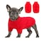 Queenmore Small Dog Pullover Sweater Cold Weather Cable Knitwear Classic Turtleneck Thick Warm Clothes for Chihuahua Bulldog Dachshund Pug Red Small