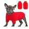 Queenmore Small Dog Pullover Sweater Cold Weather Cable Knitwear Classic Turtleneck Thick Warm Clothes for Chihuahua Bulldog Dachshund Pug Red Small