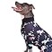 ToothHoney Tooth Honey Pit Bull Pajamas Unicorn Dog Pajamas Lightweight Pullover Pjs Full Coverage Updated FIT