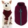 Gooby Zip Up Fleece Dog Sweater Fuchsia Wash Small Warm Pullover Fleece Stepin Dog Jacket with Dual D Ring Leash for Small to Medium Dogs