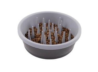 Dexas Slow Feeder Dog Bowl for Healthier Digestion Teeth and Gums 6 Cup Capacity Gray