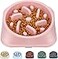 UPSKY Slow Feeder Small Dog Bowl AntiSlip Puzzle Bowl Feeder Interactive Bloat Stop AntiChoking