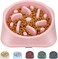 UPSKY Slow Feeder Small Dog Bowl AntiSlip Puzzle Bowl Feeder Interactive Bloat Stop AntiChoking