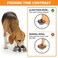 Bestalk Slow Feeder Dog Bowls Insert Soft Silicone Slow Eating Feeder Insert with Suction Cups for Small Medium and Large Dogs Fit into Basic and Elevated Dog Bowls Dark Blue