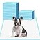 HEPPYPLUS Dog Pee Pads 22x23 30 Count Disposable Puppy Pads Pee Pads for Dogs Pet Training Pads Super Absorbent LeakProof Pee Pads 30 Count
