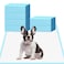 HEPPYPLUS Dog Pee Pads 22x23 30 Count Disposable Puppy Pads Pee Pads for Dogs Pet Training Pads Super Absorbent LeakProof Pee Pads 30 Count