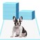 HEPPYPLUS Dog Pee Pads 22x23 30 Count Disposable Puppy Pads Pee Pads for Dogs Pet Training Pads Super Absorbent LeakProof Pee Pads 30 Count