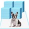 HEPPYPLUS Dog Pee Pads 22x23 Disposable Puppy Pee Pads Pee Pads for Dogs Pet Training Pads Super Absorbent LeakProof Pee Pads 90 Count