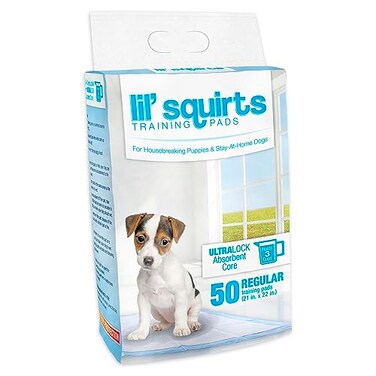 LIL' SQUIRTS Lil Squirts Puppy Training Pads 50 Pk