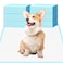 UUMEE Dog Pee Pads 22x23 Pee Pads for Dogs Disposable Puppy Pads Pet Training Pads Super Absorbent LeakProof Quick Drying Pee Pads 30 Count