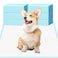 UUMEE Dog Pee Pads 22x23 Pee Pads for Dogs Disposable Puppy Pads Pet Training Pads Super Absorbent LeakProof Quick Drying Pee Pads 30 Count