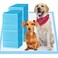 Bulubaky Upgrade LeakProof Pet Training and Puppy Pads Jumbo Pee Pads for Dogs with Thicken Polymer Heavy Absorbency Quick Dry Disposable Pee Pads for Cats Dogs 30 Counts