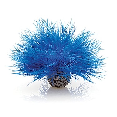 biOrb Sea Lily Blue