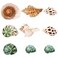 SINKOO 9PCS Hermit Crab Shells Small Medium Large Natural Turbo Seashells Size 079354 Opening Size 059118 for Hermit Crab Growth Hideouts Home Fish Tanks Aquariums Beach Parties Decor