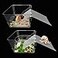 Iffitya 2 Packs Hermit Crab Pool Ideal Hermit Crab Tank Combination Pool with Cuttable Climbing Ramp