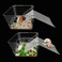 Iffitya 2 Packs Hermit Crab Pool Ideal Hermit Crab Tank Combination Pool with Cuttable Climbing Ramp