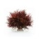 biOrb Sea Lily Crimson