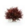 biOrb Sea Lily Crimson
