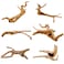 Hamiledyi 6PCS Aquarium Driftwood 68in Natural Spider Wood Branches Reptiles Aquarium Fish Tank Decoration Assorted